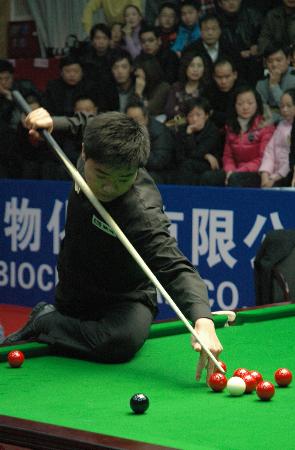 逐步形成的 逐步形成的