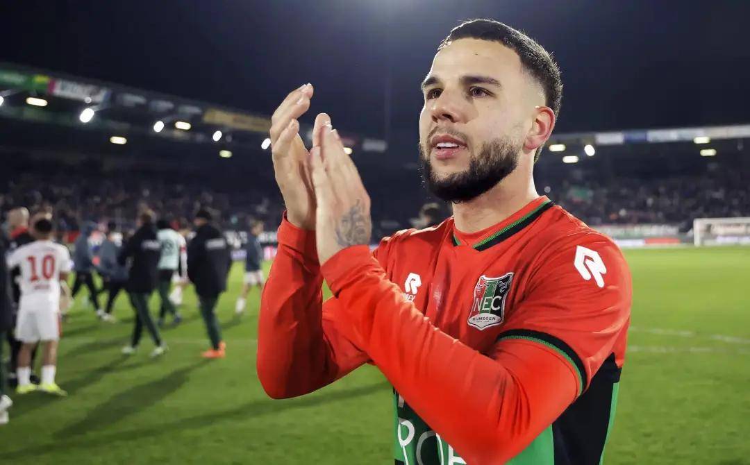 建立对照 建立对照